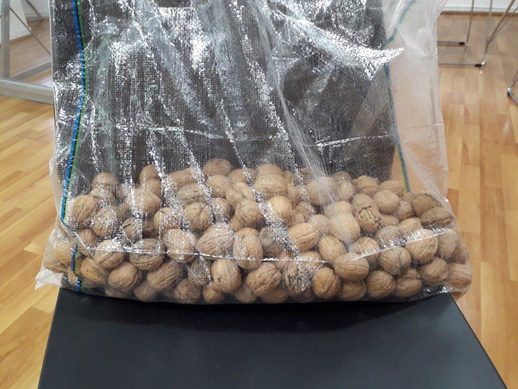 20180719_113024-ts1580778507