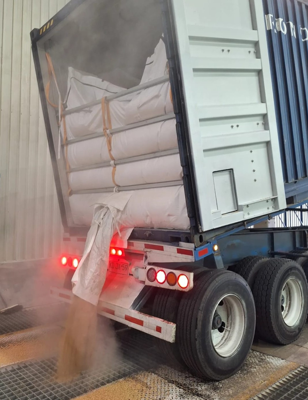 Liner descarga pagina