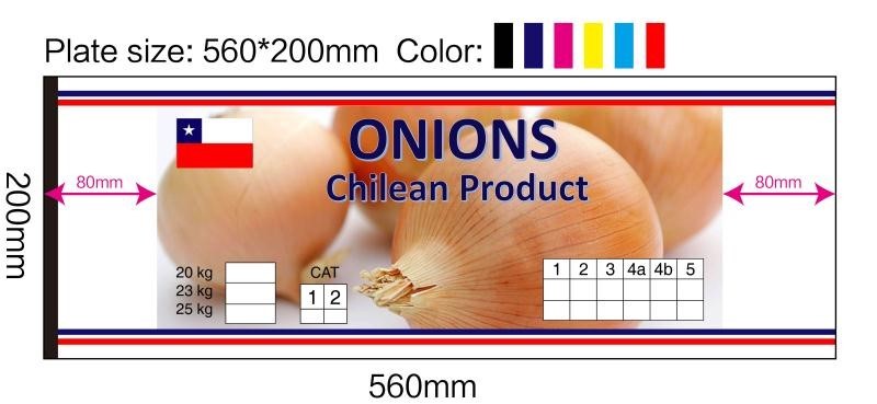 banda cebolla-ts1580776977