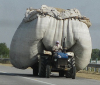 mega maxi chico-ts1580771720